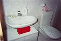 Wohnung Ruth Bad 1